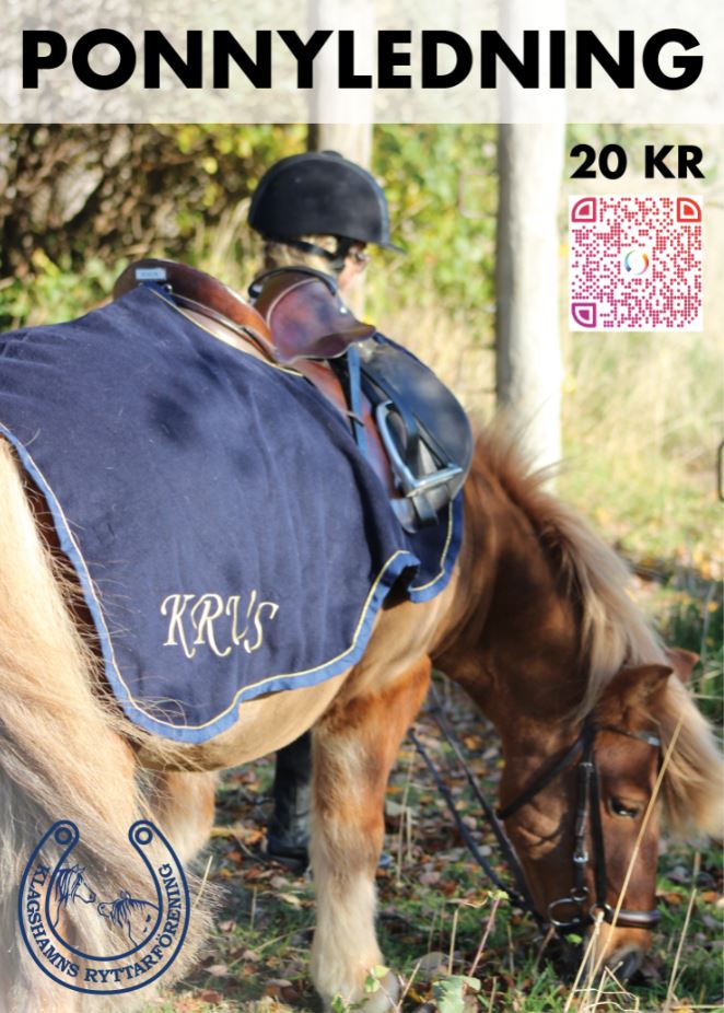 ponnyledning