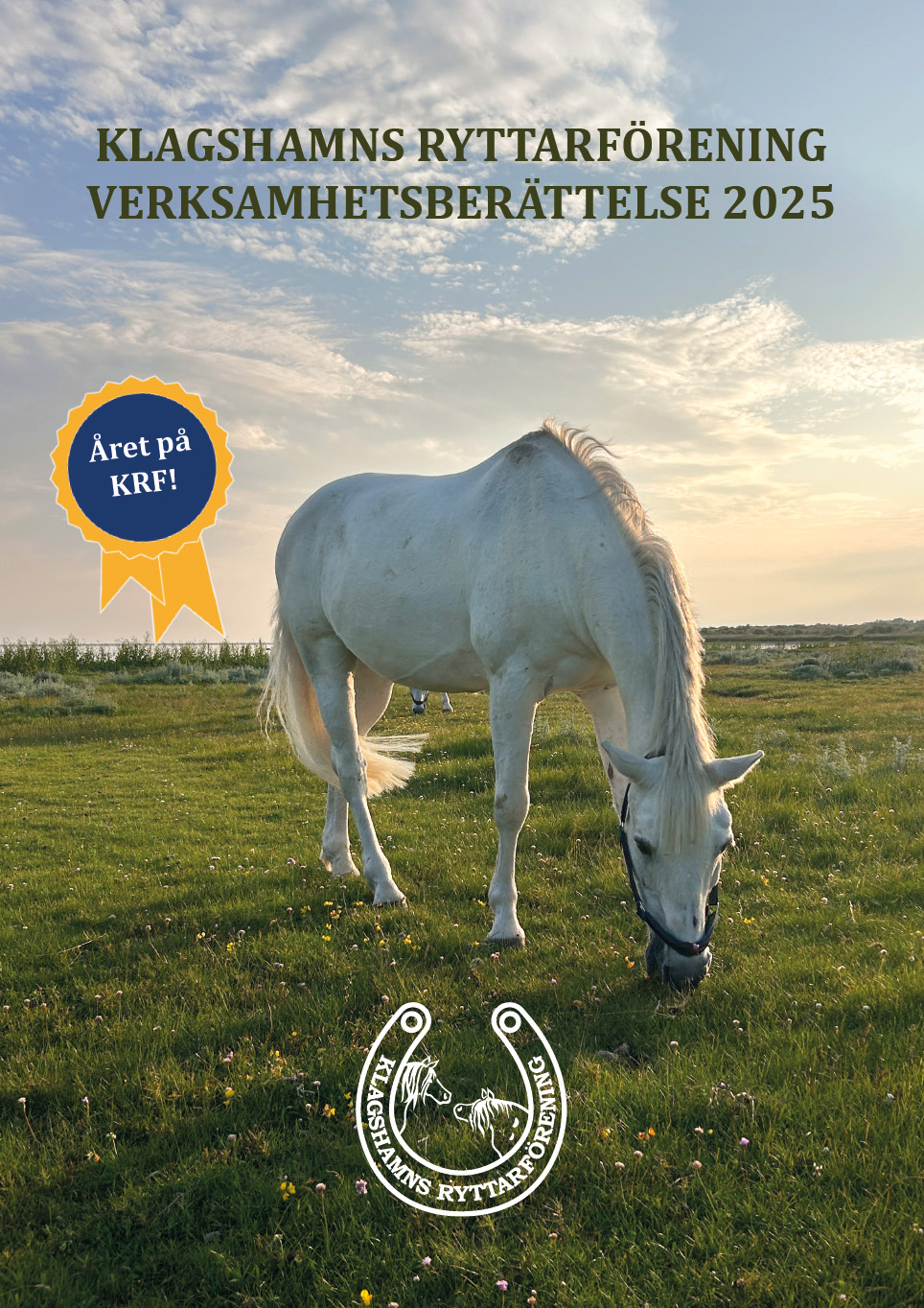Verksamhetsberättelse 2025