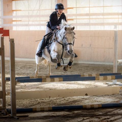 Banhoppning