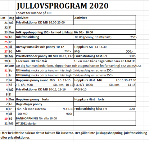 Jullovsprogram 2020