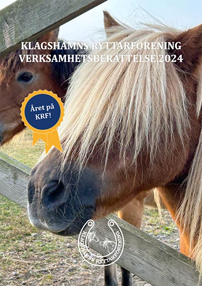 Verksamhetsberättelse 2024